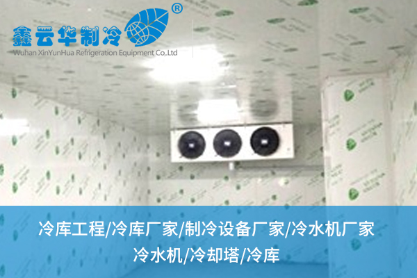 懷化超市冷庫搭建怕踩雷？從選材到布局的“保鮮法則”全在這兒！